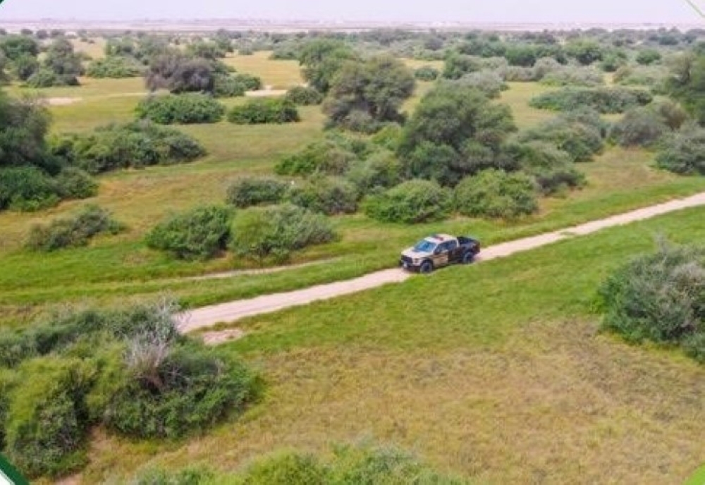 %d9%85%d8%aa%d8%b7%d9%84%d8%a8%d8%a7%d8%aa %d8%ac%d8%af%d9%8a%d8%af%d8%a9 %d9%84%d9%84%d8%aa%d8%b5%d8%a7%d8%b1%d9%8a%d8%ad %d8%a7%d9%84%d8%a8%d9%8a%d8%a6%d9%8a%d8%a9 %d8%af%d8%b1%d8%a7%d8%b3%d8%a9