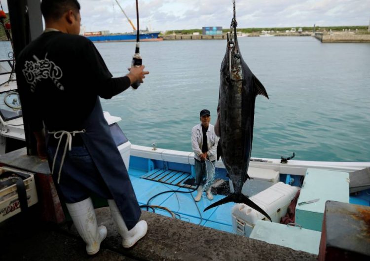 %d9%85%d9%86 %d8%a7%d9%84%d9%85%d8%a3%d9%83%d9%88%d9%84%d8%a7%d8%aa %d8%a7%d9%84%d8%a8%d8%ad%d8%b1%d9%8a%d8%a9 %d8%a5%d9%84%d9%89 %d8%a7%d9%84%d8%b3%d9%8a%d8%a7%d8%b1%d8%a7%d8%aa %d8%a7%d9%84%d9%83