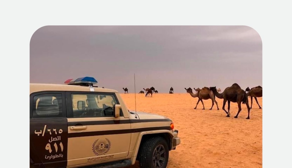 %d8%b6%d8%a8%d8%b7 %d9%85%d9%88%d8%a7%d8%b7%d9%86 %d8%a7%d8%b1%d8%aa%d9%83%d8%a8 %d9%85%d8%ae%d8%a7%d9%84%d9%81%d8%a9 %d8%b1%d8%b9%d9%8a %d8%a8%d9%85%d8%ad%d9%85%d9%8a%d8%a9 %d8%a7%d9%84%d9%85%d9%84