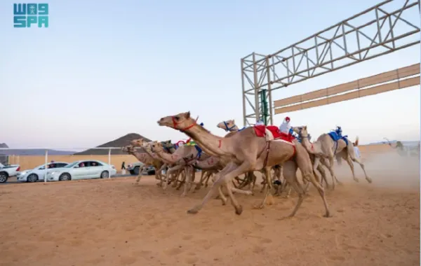 %d8%a7%d9%84%d9%87%d9%8a%d8%a6%d8%a9 %d8%a7%d9%84%d9%85%d9%84%d9%83%d9%8a%d8%a9 %d9%84%d9%85%d8%ad%d8%a7%d9%81%d8%b8%d8%a9 %d8%a7%d9%84%d8%b9%d9%8f%d9%84%d8%a7 %d8%aa%d8%af%d8%b4%d9%86 %d9%85%d9%88