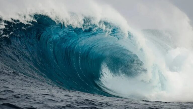 %d8%a7%d9%84%d8%a3%d8%b1%d8%b5%d8%a7%d8%af %d9%8a%d9%83%d8%b4%d9%81 %d8%b9%d9%86 %d8%aa%d9%88%d9%82%d8%b9%d8%a7%d8%aa %d8%b7%d9%82%d8%b3 %d8%a7%d9%84%d8%a5%d8%ab%d9%86%d9%8a%d9%86 %d8%b9%d9%84