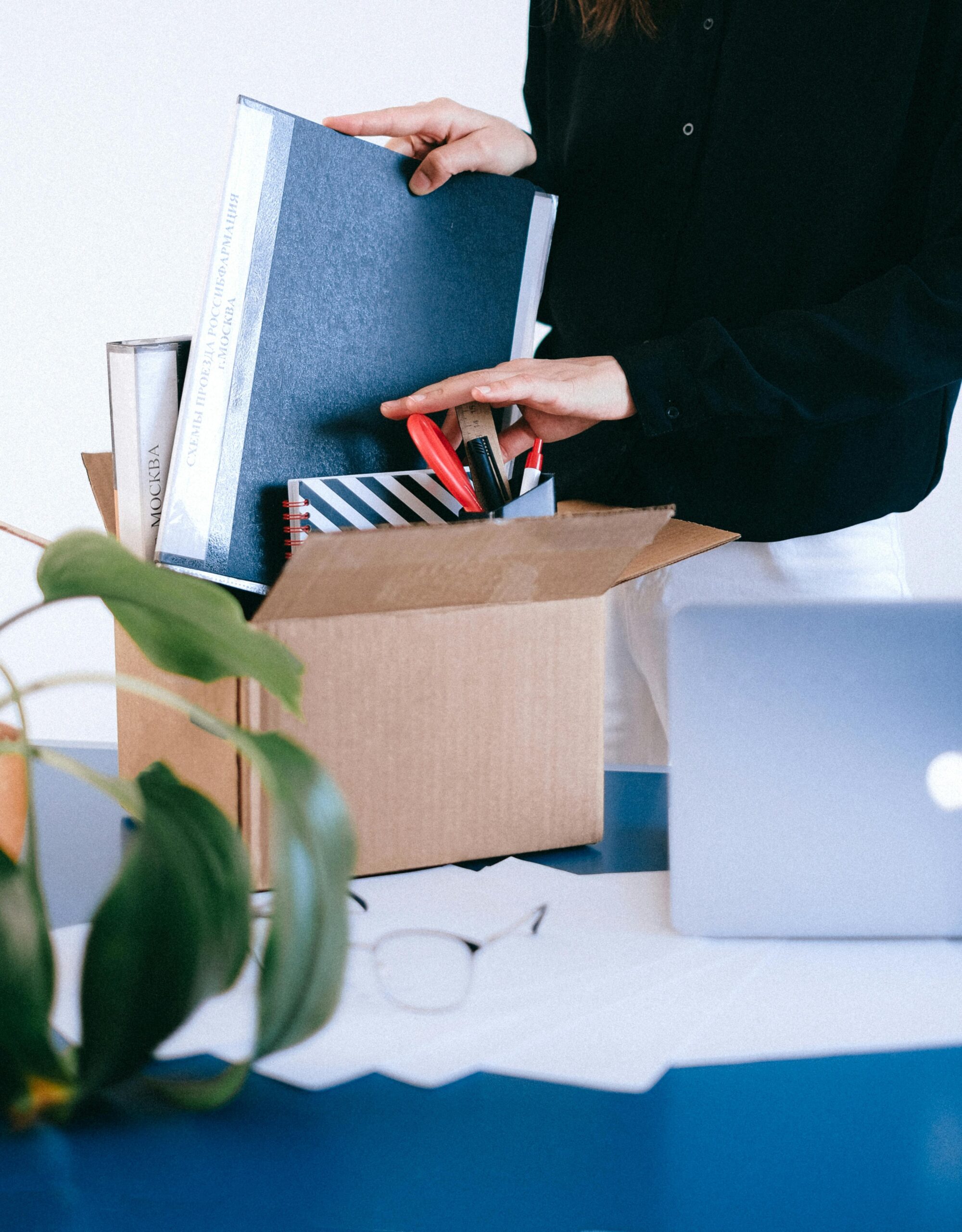 %d8%a7%d8%b3%d8%aa%d9%82%d8%a7%d9%84%d8%a7%d8%aa %d9%82%d9%8a%d8%a7%d8%b3%d9%8a%d8%a9 %d9%84%d9%84%d8%b1%d8%a4%d8%b3%d8%a7%d8%a1 %d8%a7%d9%84%d8%aa%d9%86%d9%81%d9%8a%d8%b0%d9%8a%d9%8a%d9%86 %d9%84