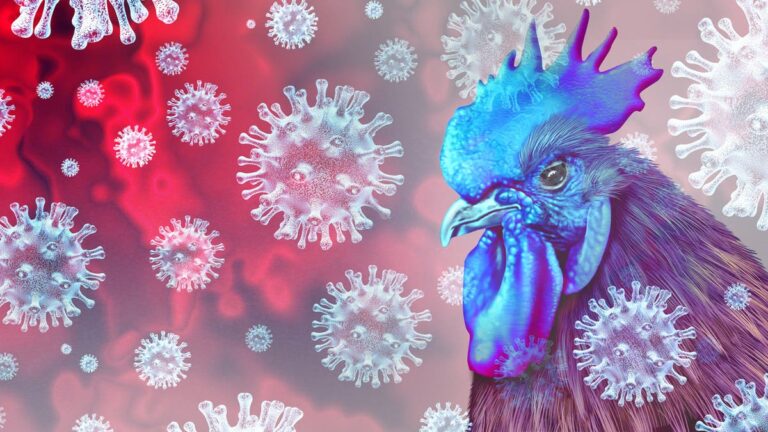 %d8%aa%d8%ad%d8%b0%d9%8a%d8%b1 %d8%a3%d9%85%d9%8a%d8%b1%d9%83%d9%8a %d9%85%d9%86 %d8%ac%d8%a7%d8%a6%d8%ad%d8%a9 %d8%ac%d8%af%d9%8a%d8%af%d8%a9 %d9%88%d8%a8%d8%b1%d9%8a%d8%b7%d8%a7%d9%86%d9%8a%d8%a7