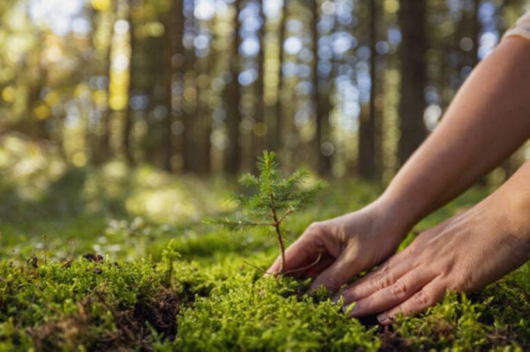 %d8%a7%d9%84%d9%81%d8%b6%d9%84%d9%8a %d8%a5%d8%b7%d9%84%d8%a7%d9%82 %d8%a5%d8%b3%d8%aa%d8%b1%d8%a7%d8%aa%d9%8a%d8%ac%d9%8a%d8%a9 %d8%b4%d8%a7%d9%85%d9%84%d8%a9 %d9%84%d9%84%d8%b9%d9%85%d9%84 %d8%a7