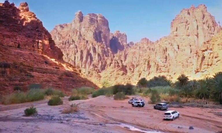 %d8%a7%d9%84%d8%b5%d8%ad%d9%8a %d8%a7%d9%84%d8%b3%d8%b9%d9%88%d8%af%d9%8a %d8%a3%d9%87%d9%85 %d8%a7%d9%84%d8%a5%d8%b1%d8%b4%d8%a7%d8%af%d8%a7%d8%aa %d9%84%d8%aa%d8%ac%d9%86%d8%a8 %d8%a7%d9%84