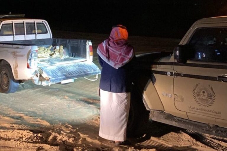 %d8%b6%d8%a8%d8%b7 12 %d9%85%d9%82%d9%8a%d9%85%d9%8b%d8%a7 %d9%85%d8%ae%d8%a7%d9%84%d9%81%d9%8b%d8%a7 %d9%84%d9%86%d8%b8%d8%a7%d9%85 %d8%a7%d9%84%d8%a8%d9%8a%d8%a6%d8%a9 %d8%a8%d8%a7%d8%b3%d8%aa%d8%ba