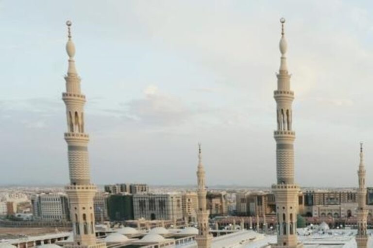 %d8%a8%d8%b1%d9%86%d8%a7%d9%85%d8%ac %d8%a7%d9%84%d9%85%d8%b1%d8%a7%d8%ac%d8%b9%d8%a9 %d8%a7%d9%84%d9%85%d9%83%d8%ab%d9%81%d8%a9 %d8%a8%d8%a7%d9%84%d9%85%d8%b3%d8%ac%d8%af %d8%a7%d9%84%d9%86%d8%a8