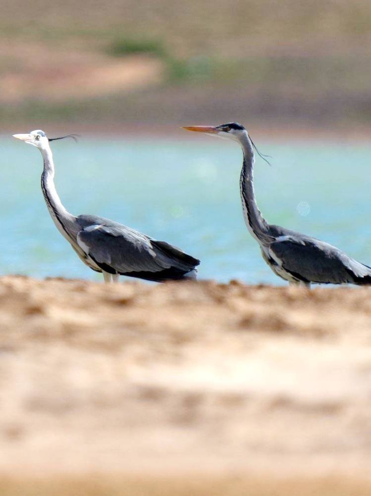 %d9%85%d8%a7%d9%84%d9%83 %d8%a7%d9%84%d8%ad%d8%b2%d9%8a%d9%86 %d8%b2%d8%a7%d8%a6%d8%b1 %d8%b4%d8%aa%d9%88%d9%8a %d9%8a%d8%b2%d9%8a%d9%86 %d9%85%d8%ad%d9%85%d9%8a%d8%a9 %d8%a7%d9%84%d9%85