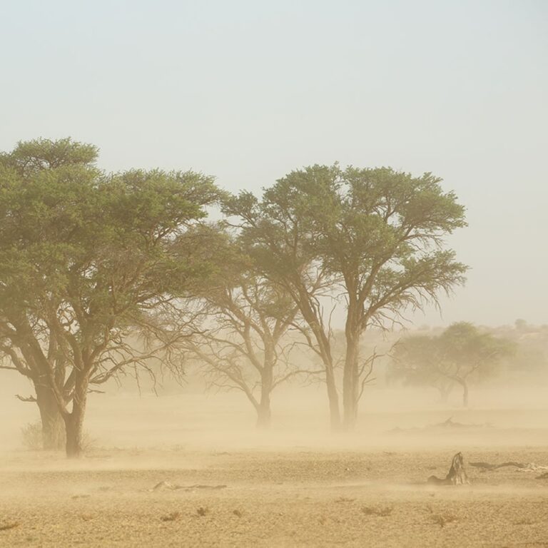 %d9%83%d9%88%d8%a8 16 %d8%a7%d9%84%d9%85%d9%85%d9%84%d9%83%d8%a9 %d8%aa%d8%b7%d9%84%d9%82 %d9%85%d8%a8%d8%a7%d8%af%d8%b1%d8%a9 %d8%a7%d9%84%d8%a5%d9%86%d8%b0%d8%a7%d8%b1 %d8%a7%d9%84%d9%85%d8%a8