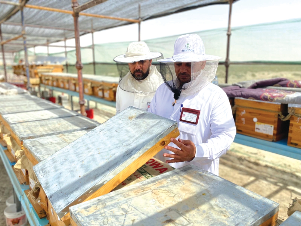 %d8%aa%d8%a3%d9%87%d9%8a%d9%84 13 %d8%a3%d9%84%d9%81 %d9%85%d9%88%d8%a7%d8%b7%d9%86 %d9%84%d9%84%d9%85%d9%87%d9%86 %d8%a7%d9%84%d8%b2%d8%b1%d8%a7%d8%b9%d9%8a%d8%a9 %d9%88%d8%a7%d9%84%d8%ad%d9%8a%d9%88