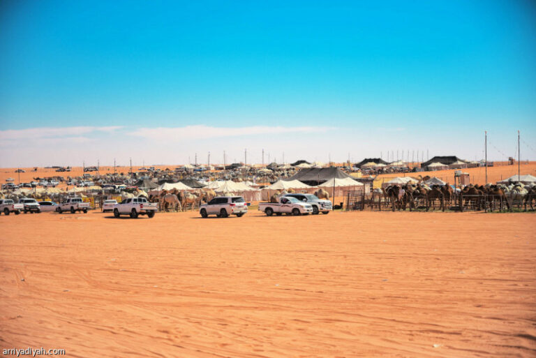 %d9%85%d8%b2%d8%a7%d8%af%d8%a7%d8%aa %d8%a7%d9%84%d8%a5%d8%a8%d9%84 %d8%a7%d9%84%d9%85%d8%a8%d9%8a%d8%b9%d8%a7%d8%aa 3 %d9%85%d9%84%d8%a7%d9%8a%d9%8a%d9%86 %d8%b1%d9%8a%d8%a7%d9%84 %d9%8a%d9%88