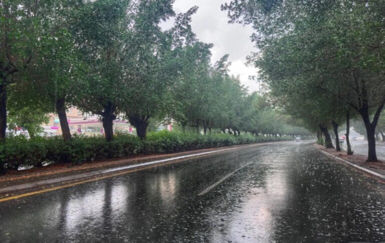 %d8%b7%d9%82%d8%b3 %d8%a7%d9%84%d8%b3%d8%a8%d8%aa %d9%81%d9%8a %d8%a7%d9%84%d9%85%d9%85%d9%84%d9%83%d8%a9 %d8%a7%d9%86%d8%ae%d9%81%d8%a7%d8%b6 %d8%af%d8%b1%d8%ac%d8%a7%d8%aa %d8%a7%d9%84%d8%ad%d8%b1