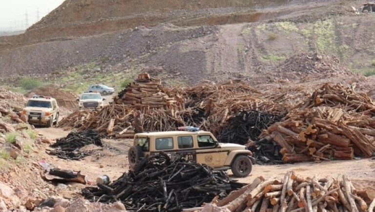 %d8%ad%d8%a7%d8%a6%d9%84 %d8%af%d9%88%d8%b1%d9%8a%d8%a7%d8%aa %d8%a7%d9%84%d9%85%d8%ac%d8%a7%d9%87%d8%af%d9%8a%d9%86 %d8%aa%d8%b6%d8%a8%d8%b7 %d9%85%d8%ae%d8%a7%d9%84%d9%81%d9%8b%d8%a7 %d9%84%d9%86