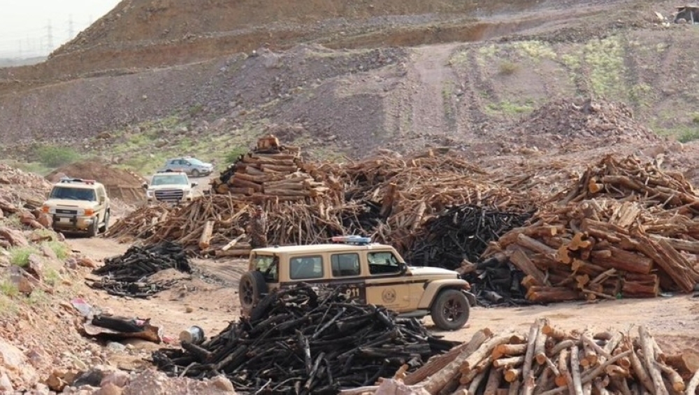 %d8%ad%d8%a7%d8%a6%d9%84 %d8%af%d9%88%d8%b1%d9%8a%d8%a7%d8%aa %d8%a7%d9%84%d9%85%d8%ac%d8%a7%d9%87%d8%af%d9%8a%d9%86 %d8%aa%d8%b6%d8%a8%d8%b7 %d9%85%d8%ae%d8%a7%d9%84%d9%81%d9%8b%d8%a7 %d9%84%d9%86