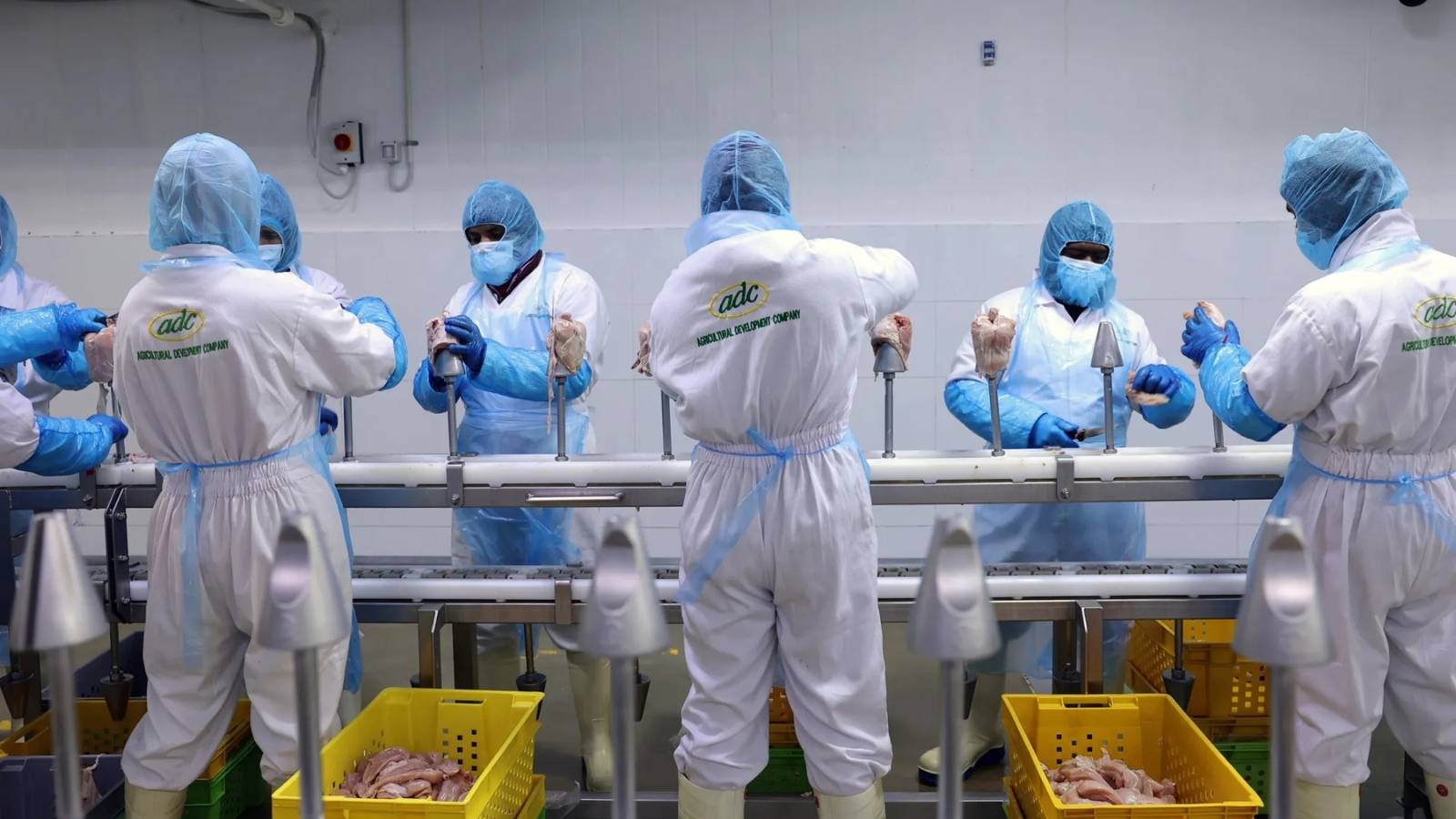 %d8%a7%d9%84%d8%b3%d8%b9%d9%88%d8%af%d9%8a%d8%a9 %d8%aa%d8%b1%d8%b5%d8%af 4 5 %d9%85%d9%84%d9%8a%d8%a7%d8%b1 %d8%af%d9%88%d9%84%d8%a7%d8%b1 %d9%84%d8%aa%d8%ad%d9%82%d9%8a%d9%82 %d8%a7%d9%84%d8%a7