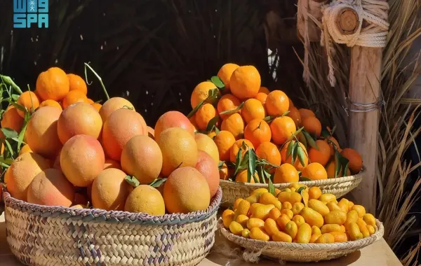 %d8%a7%d9%84%d9%87%d9%8a%d8%a6%d8%a9 %d8%a7%d9%84%d9%85%d9%84%d9%83%d9%8a%d8%a9 %d9%84%d9%85%d8%ad%d8%a7%d9%81%d8%b8%d8%a9 %d8%a7%d9%84%d8%b9%d9%84%d8%a7 %d8%aa%d8%b7%d9%84%d9%82 %d9%85%d9%88%d8%b3