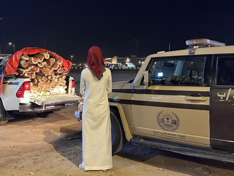 %d8%a7%d9%84%d9%85%d8%af%d9%8a%d9%86%d8%a9 %d8%a7%d9%84%d9%85%d9%86%d9%88%d8%b1%d8%a9 %d8%b6%d8%a8%d8%b7 %d9%85%d8%ae%d8%a7%d9%84%d9%81 %d9%84%d9%86%d8%b8%d8%a7%d9%85 %d8%a7%d9%84%d8%a8%d9%8a%d8%a6