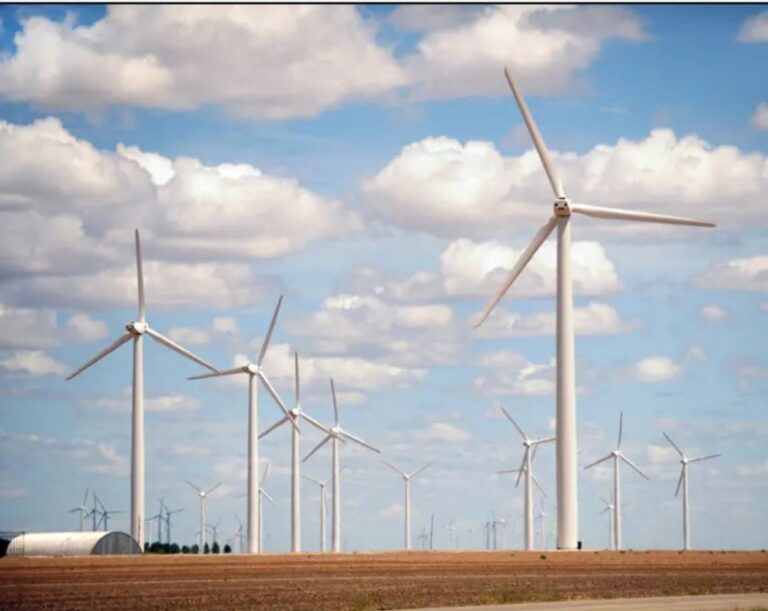 %d9%85%d8%b2%d8%a7%d8%b1%d8%b9 %d8%a7%d9%84%d8%b1%d9%8a%d8%a7%d8%ad %d8%a7%d9%84%d8%b3%d8%b9%d9%88%d8%af%d9%8a%d8%a9 %d8%aa%d9%8a%d8%a7%d8%b1 %d8%b7%d9%85%d9%88%d8%ad %d9%84%d8%a5%d9%86%d8%aa