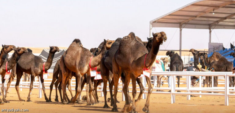 %d8%a7%d9%84%d9%85%d9%88%d8%b3%d9%89 %d9%8a%d9%8f%d8%b9%d9%84%d9%86%d9%87%d8%a7 %d8%a8%d8%b9%d8%af %d8%ad%d8%b5%d8%af%d9%87 %d8%a7%d9%84%d8%a3%d9%88%d9%84 %d9%84%d9%86 %d8%a3%d8%a8%d9%8a%d8%b9 %d8%a8