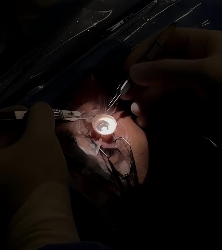 %d9%86%d8%ac%d8%a7%d8%ad %d8%a3%d9%88%d9%84 5 %d8%b9%d9%85%d9%84%d9%8a%d8%a7%d8%aa %d8%b2%d8%b1%d8%a7%d8%b9%d8%a9 %d9%82%d8%b1%d9%86%d9%8a%d8%a9 %d8%a8%d9%85%d8%af%d9%8a%d9%86%d8%a9 %d8%a7%d9%84%d9%85