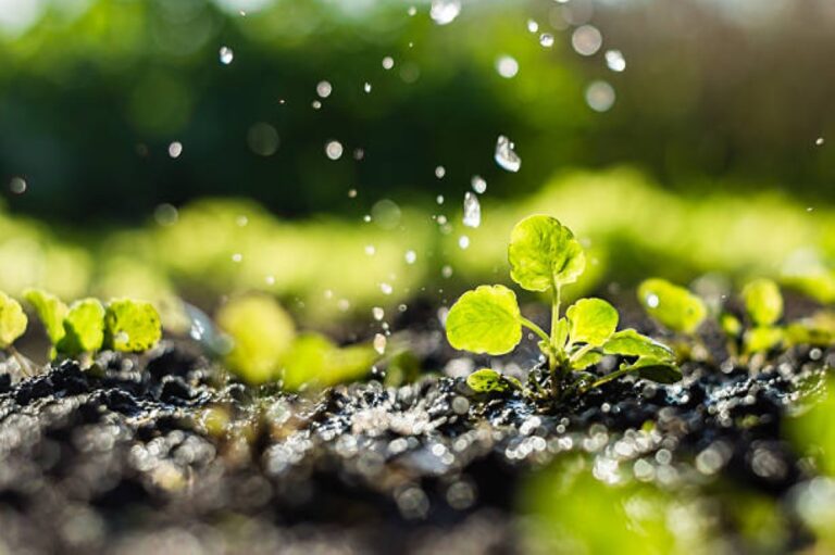 %d8%a7%d9%84%d8%a8%d9%8a%d8%a6%d8%a9 %d8%aa%d8%af%d8%b9%d9%88 %d8%a7%d9%84%d9%85%d8%b2%d8%a7%d8%b1%d8%b9%d9%8a%d9%86 %d9%84%d8%a7%d8%aa%d8%ae%d8%a7%d8%b0 %d8%a7%d9%84%d8%a7%d8%ad%d8%aa%d9%8a%d8%a7