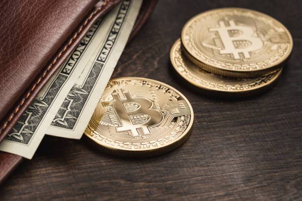 Hodl %d9%81%d9%84%d8%b3%d9%81%d8%a9 %d9%85%d8%b3%d8%aa%d8%ab%d9%85%d8%b1%d9%8a %d8%a7%d9%84%d8%a8%d9%8a%d8%aa%d9%83%d9%88%d9%8a%d9%86 %d8%a8%d8%b9%d8%af %d8%b4%d8%b1%d8%a7%d8%a1 %d8%a7%d9%84%d9%85