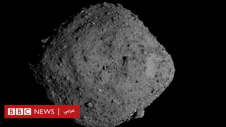 %d8%b9%d9%84%d9%85%d8%a7%d8%a1 %d9%8a%d9%83%d8%b4%d9%81%d9%88%d9%86 %d9%83%d9%8a%d9%81 %d9%88%d8%b5%d9%84%d8%aa %d8%a7%d9%84%d8%ad%d9%8a%d8%a7%d8%a9 %d8%a5%d9%84%d9%89 %d8%a7%d9%84%d8%a3%d8%b1%d8%b6