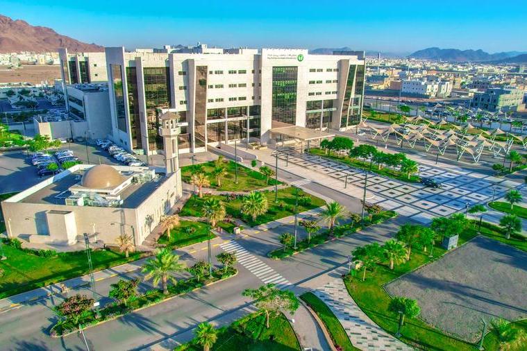 %d8%a7%d9%84%d8%aa%d8%ae%d8%b5%d8%b5%d9%8a %d9%81%d9%8a %d8%a7%d9%84%d9%85%d8%af%d9%8a%d9%86%d8%a9 %d8%a7%d9%84%d9%85%d9%86%d9%88%d8%b1%d8%a9 %d9%8a%d8%ad%d8%b5%d9%84 %d8%b9%d9%84%d9%89 %d8%b4