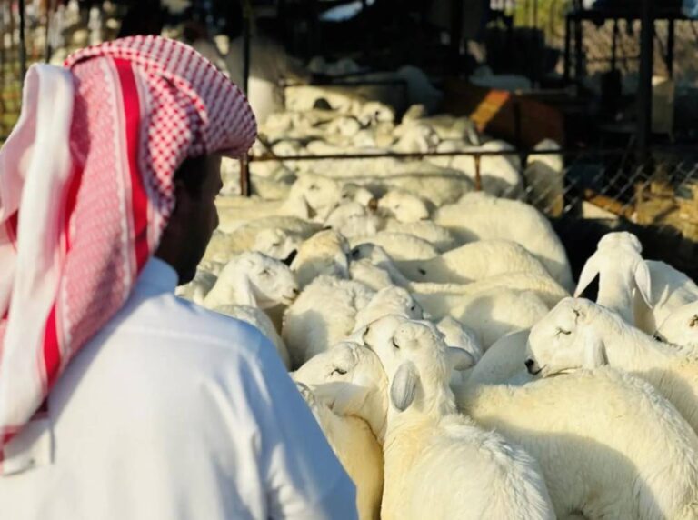 %d8%b3%d9%88%d9%82 %d8%a7%d9%84%d8%b9%d8%b2%d9%8a%d8%b2%d9%8a%d8%a9 %d9%81%d9%8a %d8%a7%d9%84%d8%b1%d9%8a%d8%a7%d8%b6 %d8%a3%d9%88%d9%84%d9%89 %d8%a7%d9%84%d8%a3%d8%b3%d9%88%d8%a7%d9%82 %d8%aa%d8%b7