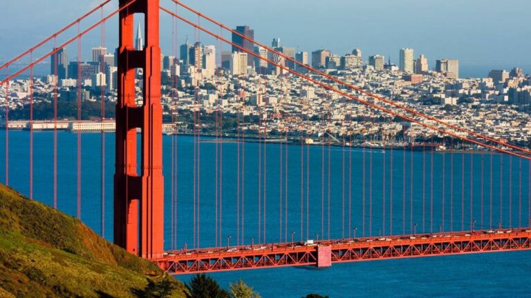 %d9%82%d9%88%d8%a7%d8%b9%d8%af %d8%ac%d8%af%d9%8a%d8%af%d8%a9 %d9%84%d9%85%d9%83%d8%a7%d9%81%d8%ad%d8%a9 %d8%a7%d9%84%d8%a7%d8%ad%d8%aa%d9%83%d8%a7%d8%b1 %d8%aa%d8%ab%d9%8a%d8%b1 %d9%85%d8%ae%d8%a7