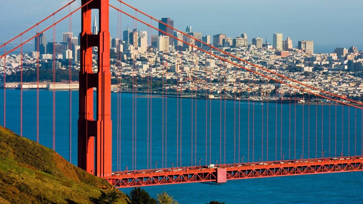 %d9%82%d9%88%d8%a7%d8%b9%d8%af %d8%ac%d8%af%d9%8a%d8%af%d8%a9 %d9%84%d9%85%d9%83%d8%a7%d9%81%d8%ad%d8%a9 %d8%a7%d9%84%d8%a7%d8%ad%d8%aa%d9%83%d8%a7%d8%b1 %d8%aa%d8%ab%d9%8a%d8%b1 %d9%85%d8%ae%d8%a7