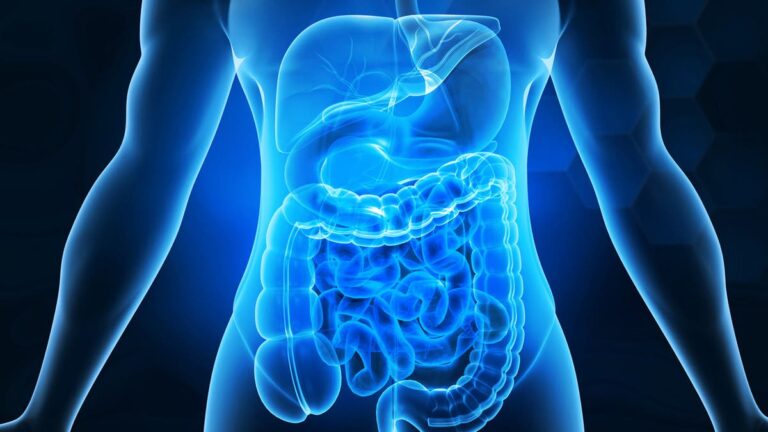 8 %d9%85%d8%b4%d8%b1%d9%88%d8%a8%d8%a7%d8%aa %d8%aa%d8%b3%d8%a7%d8%b9%d8%af %d8%b9%d9%84%d9%89 %d8%a7%d9%84%d8%aa%d8%ae%d9%84%d8%b5 %d9%85%d9%86 %d8%a7%d9%84%d8%b3%d9%85%d9%88%d9%85 %d9%88%d8%aa%d9%86