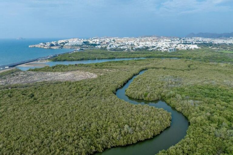 %d9%88%d8%b2%d8%a7%d8%b1%d8%a9 %d8%a7%d9%84%d8%b7%d8%a7%d9%82%d8%a9 %d9%88%d8%a7%d9%84%d9%85%d8%b9%d8%a7%d8%af%d9%86 %d8%aa%d8%b5%d8%af%d8%b1 %d9%82%d8%b1%d8%a7%d8%b1 %d8%a7%d9%8b %d9%88%d8%b2%d8%a7