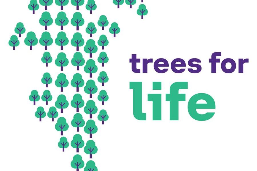 Stc %d8%a7%d9%84%d8%a8%d8%ad%d8%b1%d9%8a%d9%86 %d8%aa%d8%ba%d8%b1%d8%b3 55000 %d8%b4%d8%ac%d8%b1%d8%a9 %d9%88%d8%aa%d8%b3%d9%87%d9%85 %d9%81%d9%8a %d8%aa%d8%ad%d9%82%d9%8a%d9%82 %d9%85%d8%b3%d8%aa