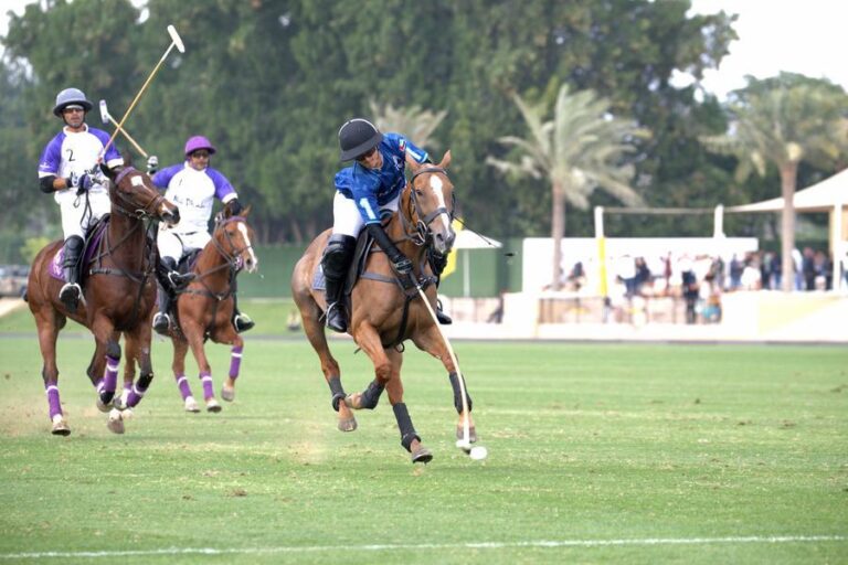 %d8%b3%d9%86%d8%b4%d8%b1%d9%8a %d9%81%d8%a7%d9%8a%d9%86%d8%a7%d9%86%d8%b4%d9%80%d8%a7%d9%84 %d9%88%d9%86%d8%a7%d8%af%d9%8a %d8%af%d8%a8%d9%80%d9%80%d9%8a %d9%84%d9%84%d8%a8%d9%88%d9%84%d9%80