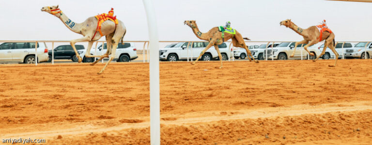 %d9%85%d9%87%d8%b1%d8%ac%d8%a7%d9%86 %d8%a7%d9%84%d9%87%d8%ac%d9%86 %d8%a7%d9%84%d8%b3%d8%b9%d9%88%d8%af%d9%8a%d9%88%d9%86 %d9%8a%d8%aa%d8%b5%d8%af%d8%b1%d9%88%d9%86 %d8%a7%d9%84%d9%85%d8%b1%d8%a7