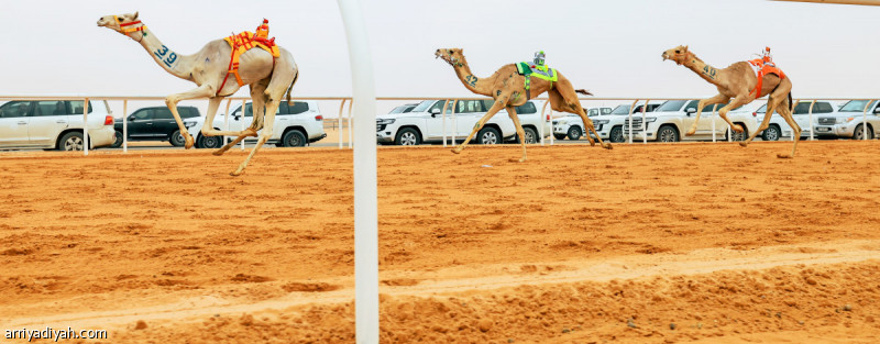 %d9%85%d9%87%d8%b1%d8%ac%d8%a7%d9%86 %d8%a7%d9%84%d9%87%d8%ac%d9%86 %d8%a7%d9%84%d8%b3%d8%b9%d9%88%d8%af%d9%8a%d9%88%d9%86 %d9%8a%d8%aa%d8%b5%d8%af%d8%b1%d9%88%d9%86 %d8%a7%d9%84%d9%85%d8%b1%d8%a7