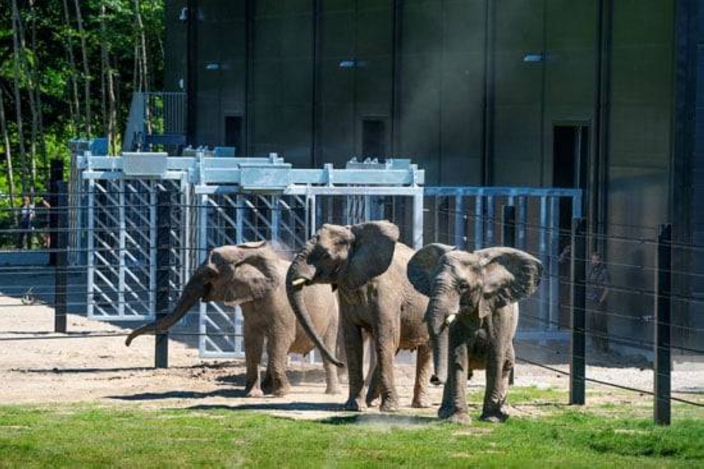 %d9%82%d8%b6%d9%8a%d8%a9 %d9%84%d8%a5%d8%b7%d9%84%d8%a7%d9%82 %d8%b3%d8%b1%d8%a7%d8%ad 5 %d8%a3%d9%81%d9%8a%d8%a7%d9%84 %d9%88%d9%85%d8%ad%d9%83%d9%85%d8%a9 %d8%a3%d9%85%d8%b1%d9%8a%d9%83%d9%8a