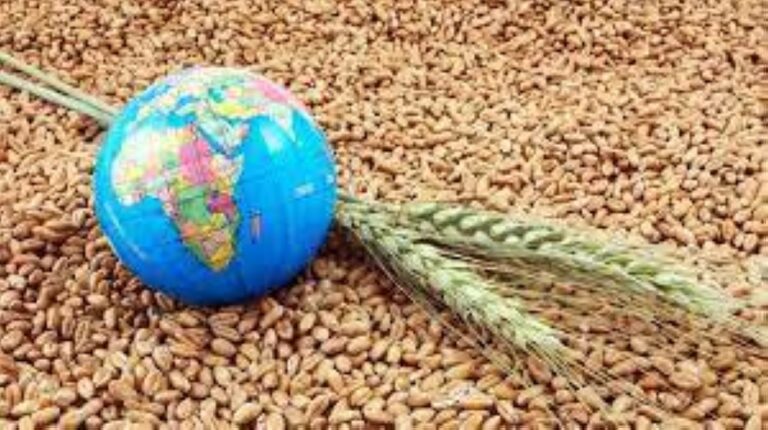 %d8%a7%d9%83%d8%aa%d8%b4%d8%a7%d9%81 %d9%87%d8%b1%d9%85%d9%88%d9%86 %d9%86%d8%a8%d8%a7%d8%aa%d9%8a %d9%8a%d8%b3%d8%a7%d8%b9%d8%af %d8%b9%d9%84%d9%89 %d8%ad%d9%84 %d9%85%d8%b4%d9%83%d9%84%d8%a9 %d9%86