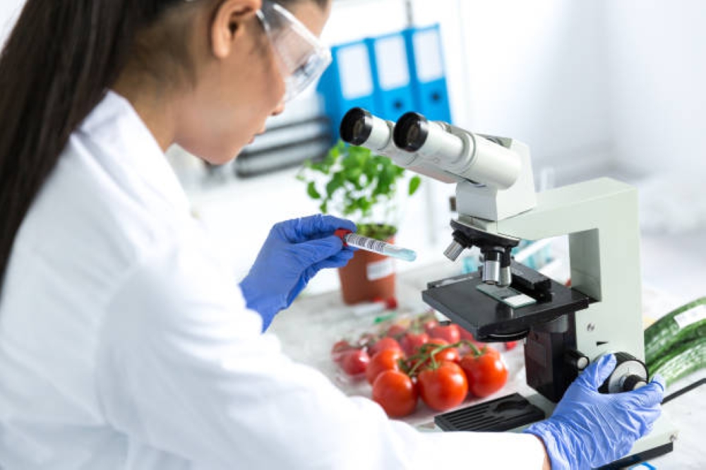 %d8%a7%d9%84%d8%b1%d8%b5%d8%a7%d8%b5 %d9%88%d8%a7%d9%84%d9%83%d8%a7%d8%af%d9%85%d9%8a%d9%88%d9%85 %d8%a7%d9%84%d8%ba%d8%b0%d8%a7%d8%a1 %d9%88%d8%a7%d9%84%d8%af%d9%88%d8%a7%d8%a1