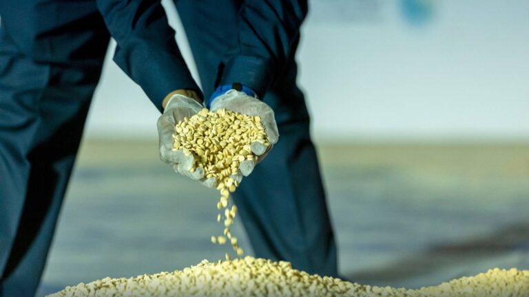 %d8%b3%d9%88%d8%b1%d9%8a%d8%a7 %d8%aa%d8%af%d9%85%d8%b1 100 %d9%85%d9%84%d9%8a%d9%88%d9%86 %d8%ad%d8%a8%d8%a9 %d9%83%d8%a8%d8%aa%d8%a7%d8%ac%d9%88%d9%86 %d9%85%d9%85%d9%84%d9%88%d9%83%d8%a9 %d9%84