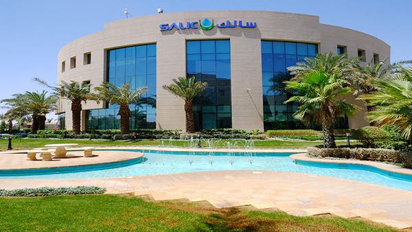 %d8%a3%d9%88%d9%84%d8%a7%d9%85 %d8%a7%d9%84%d8%b3%d9%86%d8%ba%d8%a7%d9%81%d9%88%d8%b1%d9%8a%d8%a9 %d8%aa%d8%b9%d8%aa%d8%b2%d9%85 %d8%a8%d9%8a%d8%b9 %d8%ad%d8%b5%d8%aa%d9%87%d8%a7 %d8%a7%d9%84