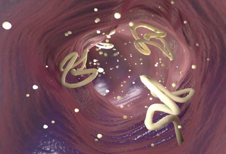 %d9%83%d8%a7%d8%a6%d9%86%d8%a7%d8%aa %d9%85%d8%ae%d9%8a%d9%81%d8%a9 %d8%aa%d8%ba%d8%b2%d9%88 %d8%ac%d8%b3%d8%af %d8%b1%d8%ac%d9%84