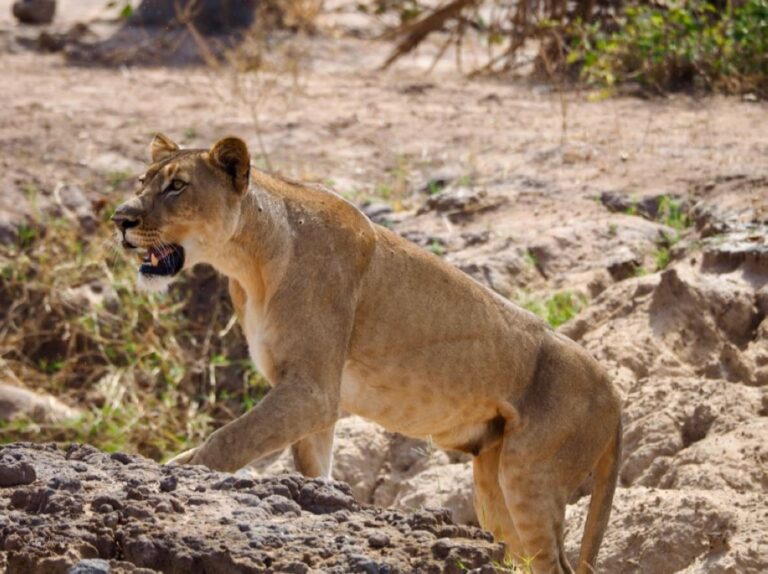 %d8%a7%d9%84%d8%ad%d9%8a%d8%a7%d8%a9 %d8%a7%d9%84%d9%81%d8%b7%d8%b1%d9%8a%d8%a9 %d9%84%d8%a7 %d8%b5%d8%ad%d8%a9 %d9%84%d9%88%d8%ac%d9%88%d8%af %d9%84%d8%a8%d8%a4%d8%a9 %d8%b7%d9%84%d9%8a