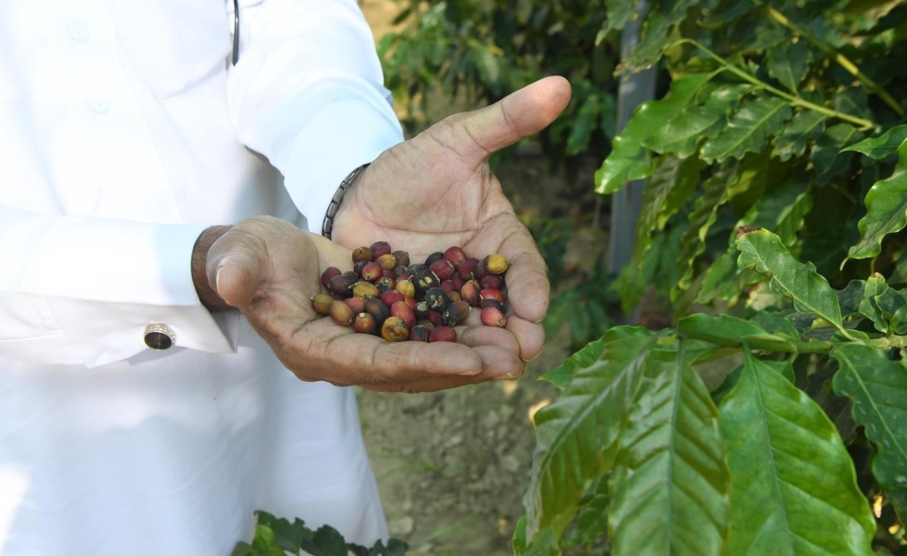 %d8%b1%d8%ac%d8%a7%d9%84 %d8%a3%d9%84%d9%85%d8%b9 %d8%b2%d8%b1%d8%a7%d8%b9%d8%a9 %d8%a7%d9%84%d8%a8%d9%86 %d8%aa%d8%b9%d9%88%d8%af %d8%a5%d9%84%d9%89 %d9%88%d8%a7%d8%ac%d9%87%d8%a9 %d8%a7%d9%84