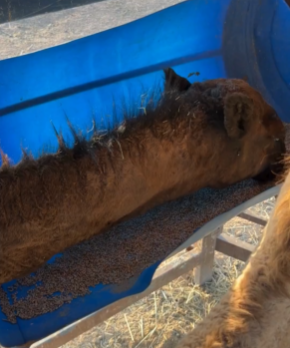 %d8%a7%d9%84%d8%a5%d8%b1%d8%b4%d8%a7%d8%af %d8%a7%d9%84%d8%b2%d8%b1%d8%a7%d8%b9%d9%8a %d9%8a%d8%ad%d8%b0%d8%b1 %d9%85%d9%86 %d9%85%d8%ae%d8%a7%d8%b7%d8%b1 %d8%a7%d9%84%d8%a5%d9%81%d8%b1%d8%a7%d8%b7