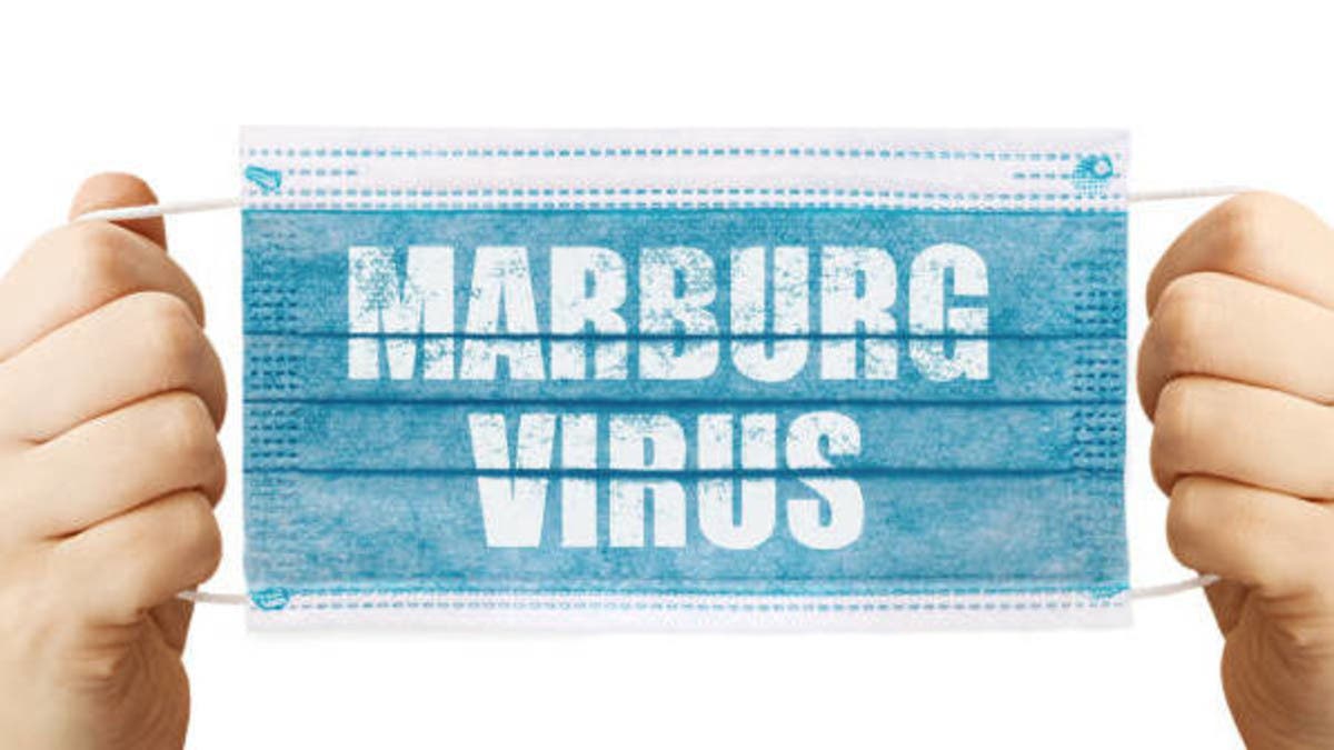 %d8%b4%d8%a8%d8%ad %d9%81%d9%8a%d8%b1%d9%88%d8%b3 %d9%85%d8%a7%d8%b1%d8%a8%d9%88%d8%b1%d8%ba %d9%8a%d8%b7%d9%84 %d9%85%d8%ac%d8%af%d8%af%d8%a7 8 %d9%88%d9%81%d9%8a%d8%a7%d8%aa %d8%a8%d8%aa%d9%86