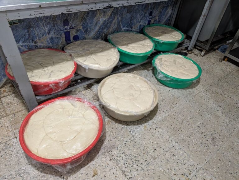 %d8%b1%d8%b5%d8%af %d8%a3%d9%83%d8%ab%d8%b1 %d9%85%d9%86 2 7 %d8%b7%d9%86 %d9%85%d9%88%d8%a7%d8%af %d8%ba%d8%b0%d8%a7%d8%a6%d9%8a%d8%a9 %d9%85%d8%ae%d8%a7%d9%84%d9%81%d8%a9 %d9%88%d8%a5%d8%ba%d9%84