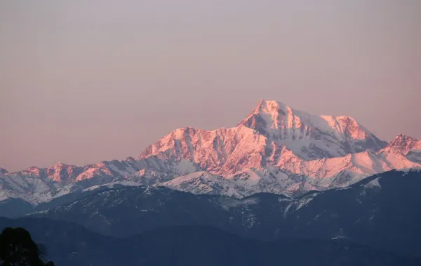 %d8%b9%d9%84%d9%85%d8%a7%d8%a1 %d9%8a%d9%83%d8%aa%d8%b4%d9%81%d9%88%d9%86 %d9%82%d9%85%d8%aa%d9%8a%d9%86 %d8%b6%d8%ae%d9%85%d8%aa%d9%8a%d9%86 %d8%a3%d8%b9%d9%84%d9%89 %d9%85%d9%86 %d8%a5%d9%8a%d9%81