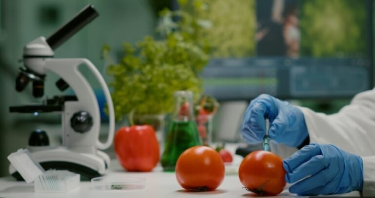 5 %d9%85%d8%b9%d8%a7%d9%8a%d9%8a%d8%b1 %d9%84%d8%a3%d9%86%d8%b4%d8%b7%d8%a9 %d8%a7%d9%84%d8%a8%d8%ad%d8%ab %d9%88%d8%a7%d9%84%d8%aa%d8%b7%d9%88%d9%8a%d8%b1 %d9%81%d9%8a %d9%82%d8%b7%d8%a7%d8%b9 %d8%a7